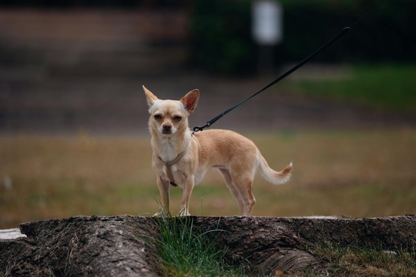 Sophrologie et ballonnements de grossesse : un duo gagnant ?
